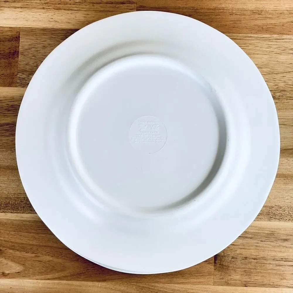 NWT Set of 4 Beach to Bistro 9” SIGRID OLSEN Lemons 100% Melamine Salad Plates